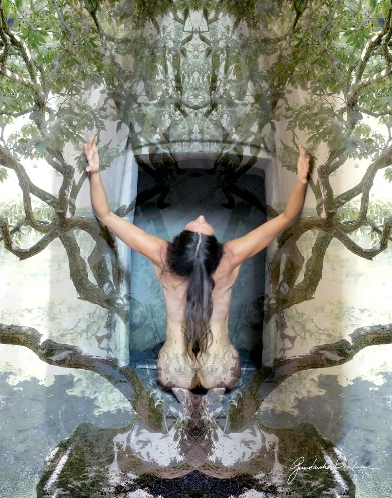 Root to Fruit — a mirrored Visual Meditation
